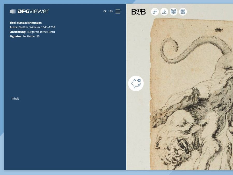 Screenshot des DFG-Viewers.