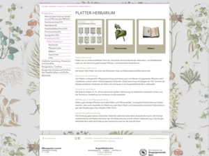 Screenshot der Webseite.